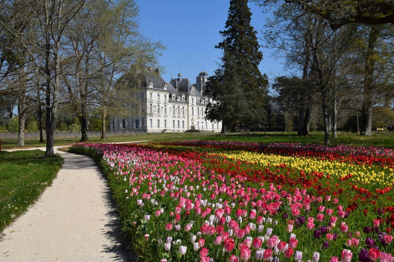 Logis Hotel Du Cygne Брасьє Екстер'єр фото